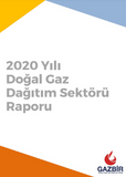GAZBIR 2020 Natural Gas Distribution Sector Report