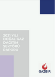 GAZBIR 2021 Natural Gas Distribution Sector Report