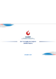 GAZBIR 2017 Natural Gas Distribution Sector Report