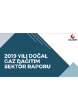 GAZBIR 2019 Natural Gas Distribution Sector Report
