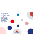 GAZBIR 2018 Natural Gas Distribution Sector Report