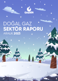GAZBIR December Sector Report