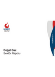 GAZBIR June Sector Report