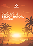 GAZBIR June Sector Report