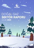 GAZBIR January Sector Report