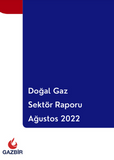 GAZBIR August Sector Report