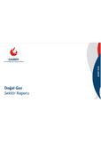 GAZBIR February Sector Report
